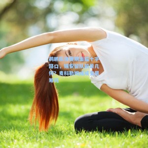 海星直播-鹈鹕队休赛期面临十字路口，锡安留队前景几何？麦科勒姆或成交易筹码